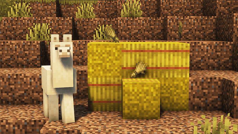  What to feed a llama in Minecraft