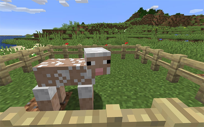 How to tame a ram in Minecraft